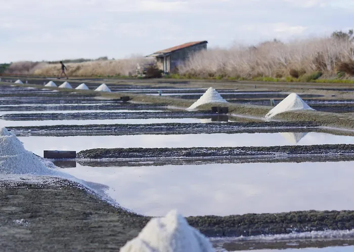 Ferienhaus Maison Pour 4 Adultes Et 1 Enfant Avec Jardin *
